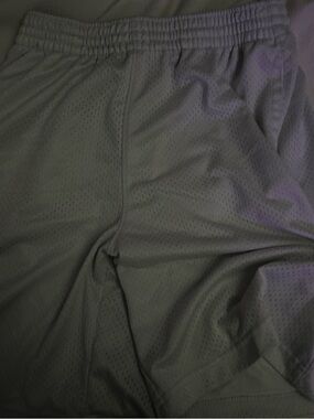 Nike Men's Athletic Mesh Shorts - Gray